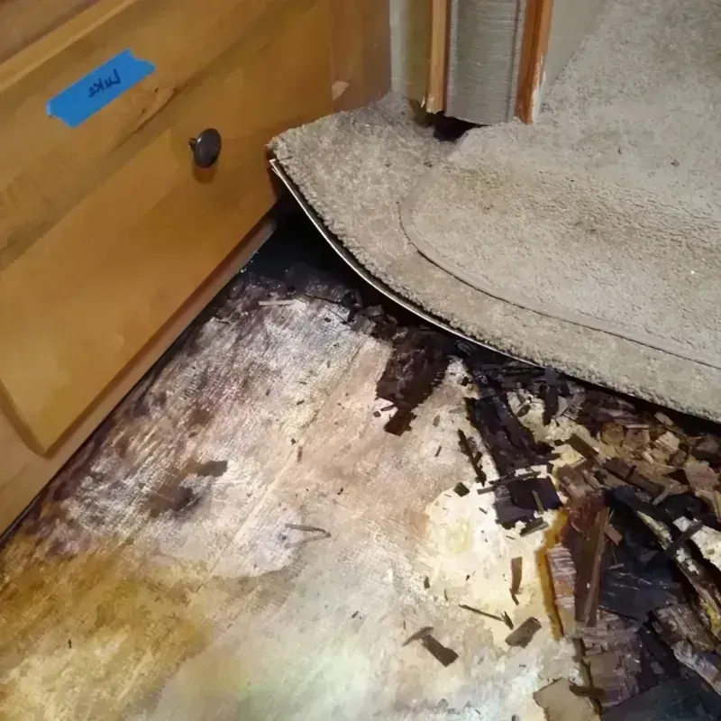 Wood Floor Water Damage in Wisconsin Rapids, WI